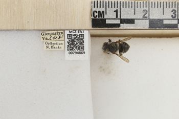 Media type: image;   Entomology 794869 Aspect: Labels